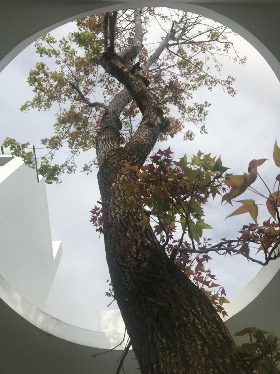 Taitung Lof/It B&B 외부 사진
